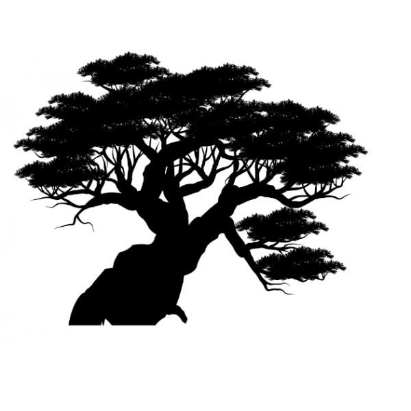 image-783224-ss-18_Mighty_Tree_1_HALF.png