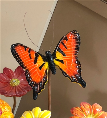 image-824909-large_butterfly_mold_2-9bf31.jpg