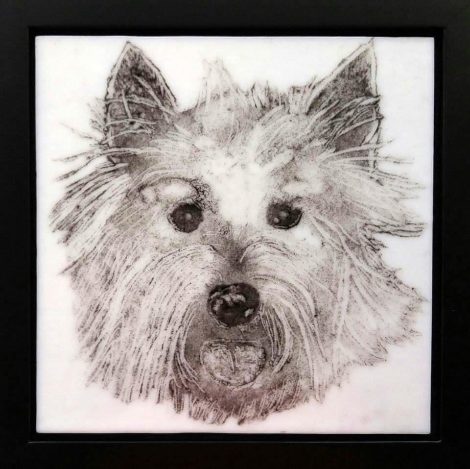 image-851273-Classes-_Pet_Portrait_4-c9f0f.jpg