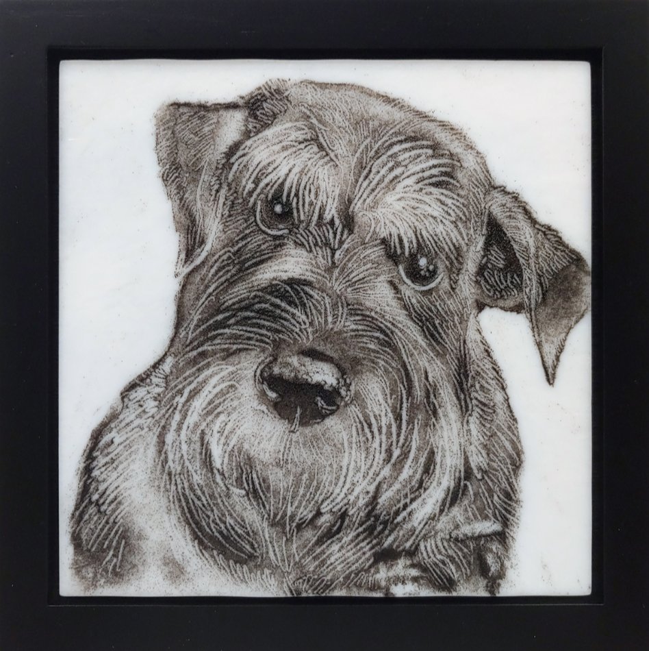 image-851275-Classes-_Pet_Portrait_10-c20ad.w640.jpg